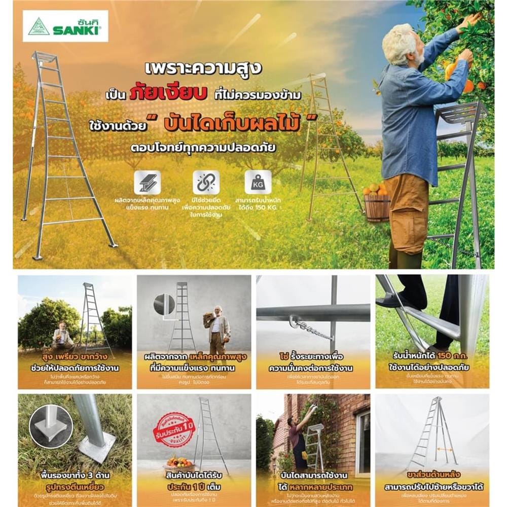 บันไดเก็บผลไม้ SANKI LD-FP10 10 ขั้น