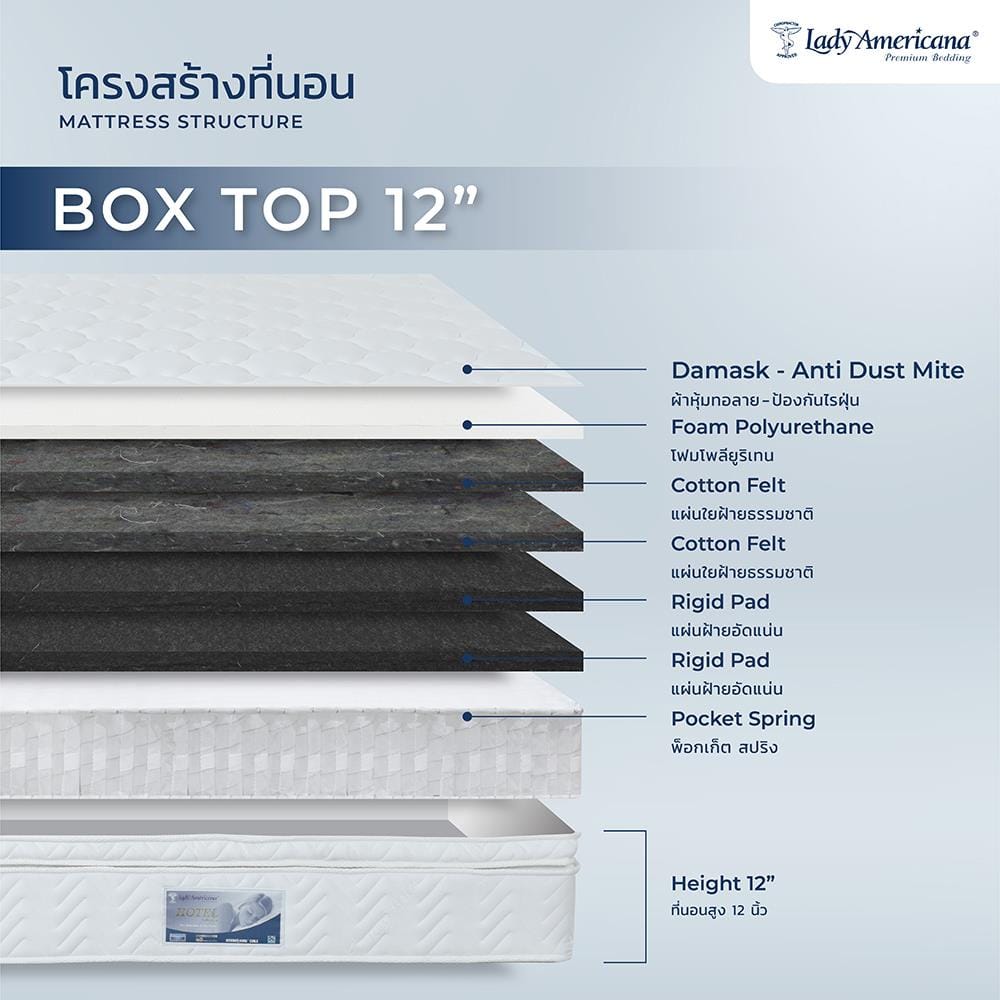 ที่นอนพ็อกเก็ตสปริง 3.5 ฟุต LADY AMERICANA รุ่น BOXTOP (พร้อมหมอนหนุน 1 ชิ้น)
