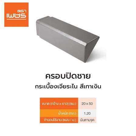 ครอบปิดชาย เจียระไน ตราเพชร 20x50 ซม. สีเทาเงิน_1