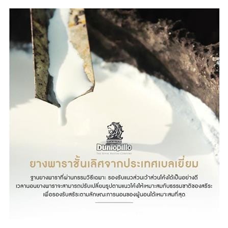 แผ่นรองนอน 6 ฟุต DUNLOPILLO FIRMA LATEX II_10