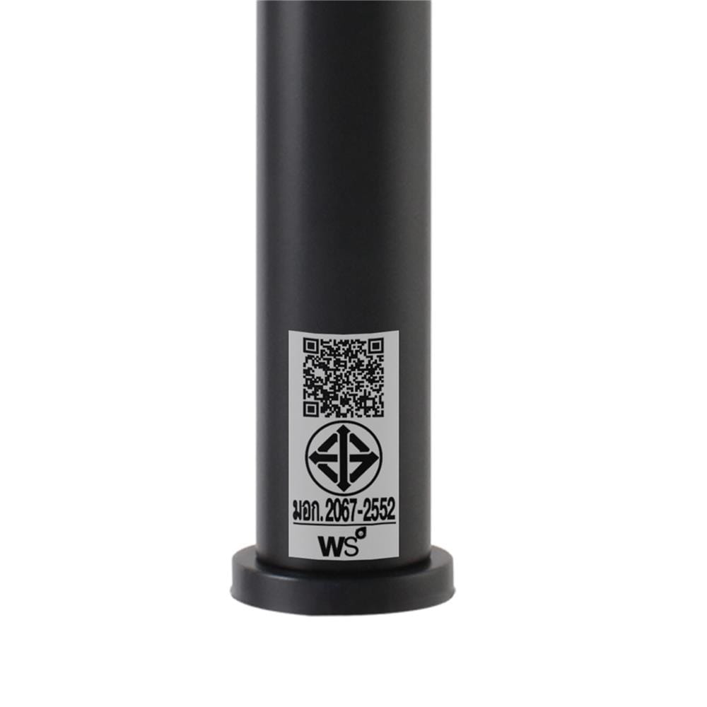 ก๊อกอ่างล้างหน้าเดี่ยว WS WS-2101M-BA สีดำ