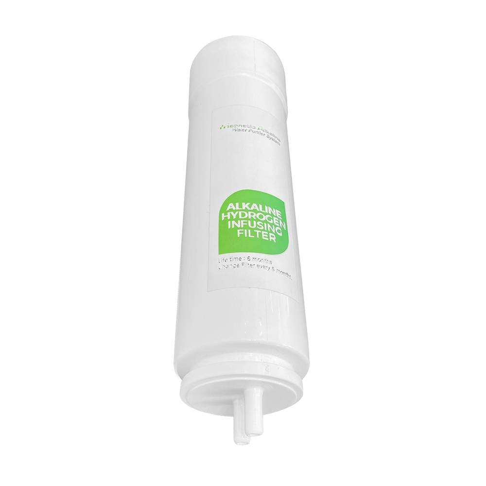 ไส้กรอง MAZUMA ALKALINE HYDROGEN INFUSING FILTER WITH CARBON FIBER BLOCK