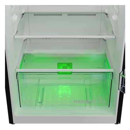 ตู้เย็น 2 ประตู BEKO B3RDNT445I40VHFSUBL 14.3 คิว สีน้ำเงินเข้ม_5
