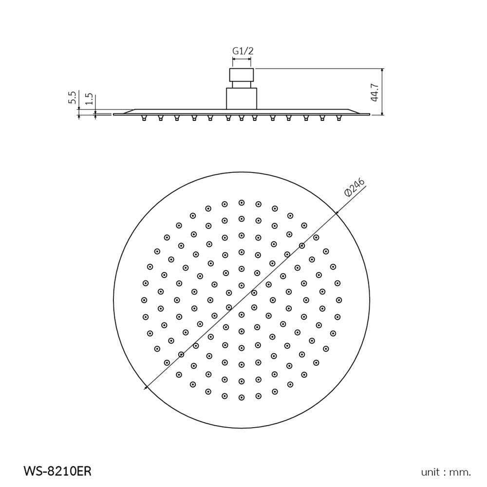 หัวฝักบัวก้านแข็ง WS WS-8210ER สีสเตนเลส
