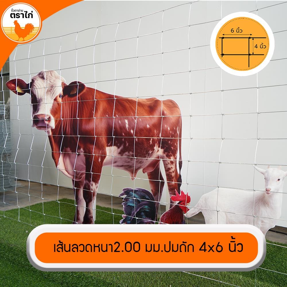 รั้วตาข่าย ตราไก่ ช่องตาถี่ 4X6 นิ้ว 1.5X30 ม.