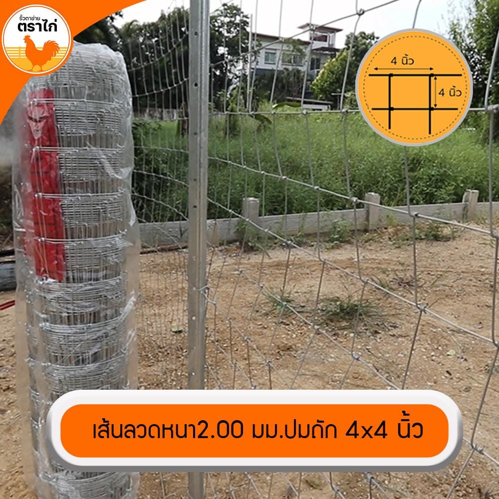 รั้วตาข่าย ตราไก่ ช่องตาถี่ 4X4 นิ้ว 1.2X30 ม.