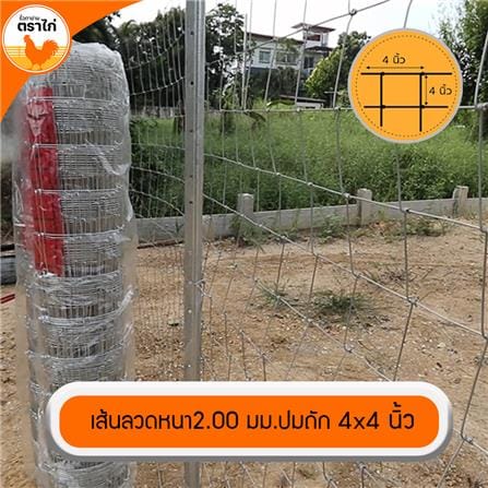 รั้วตาข่าย ตราไก่ ช่องตาถี่ 4X4 นิ้ว 1.2X30 ม._5