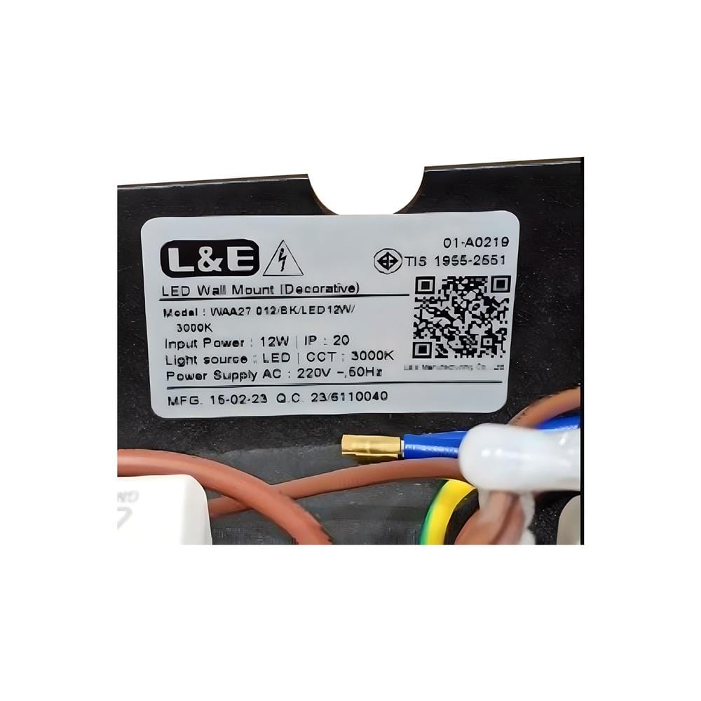 ไฟกิ่งภายใน LED L&E 01-A0219 12 วัตต์ WARM WHITE สีดำ 2 หัว