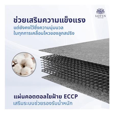 ที่นอนสปริง 6 ฟุต LOTUS รุ่น PRECISE II พร้อมหมอนหนุน 2 ชิ้น_6