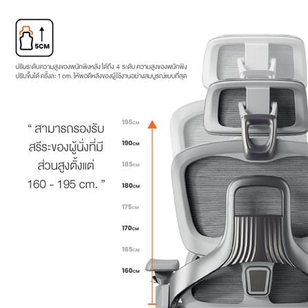 เก้าอี้สุขภาพ ERGOTREND ULTIMATE SPACIO สีเทา_8