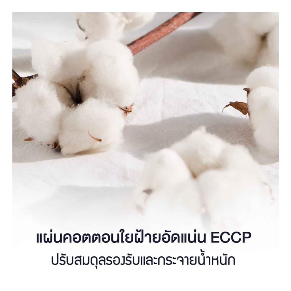 ที่นอนโฟม 5 ฟุต LOTUS รุ่น ELIPSE พร้อมหมอนหนุน 2 ชิ้น