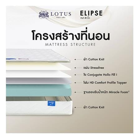 ที่นอนโฟม 5 ฟุต LOTUS รุ่น ELIPSE พร้อมหมอนหนุน 2 ชิ้น_5