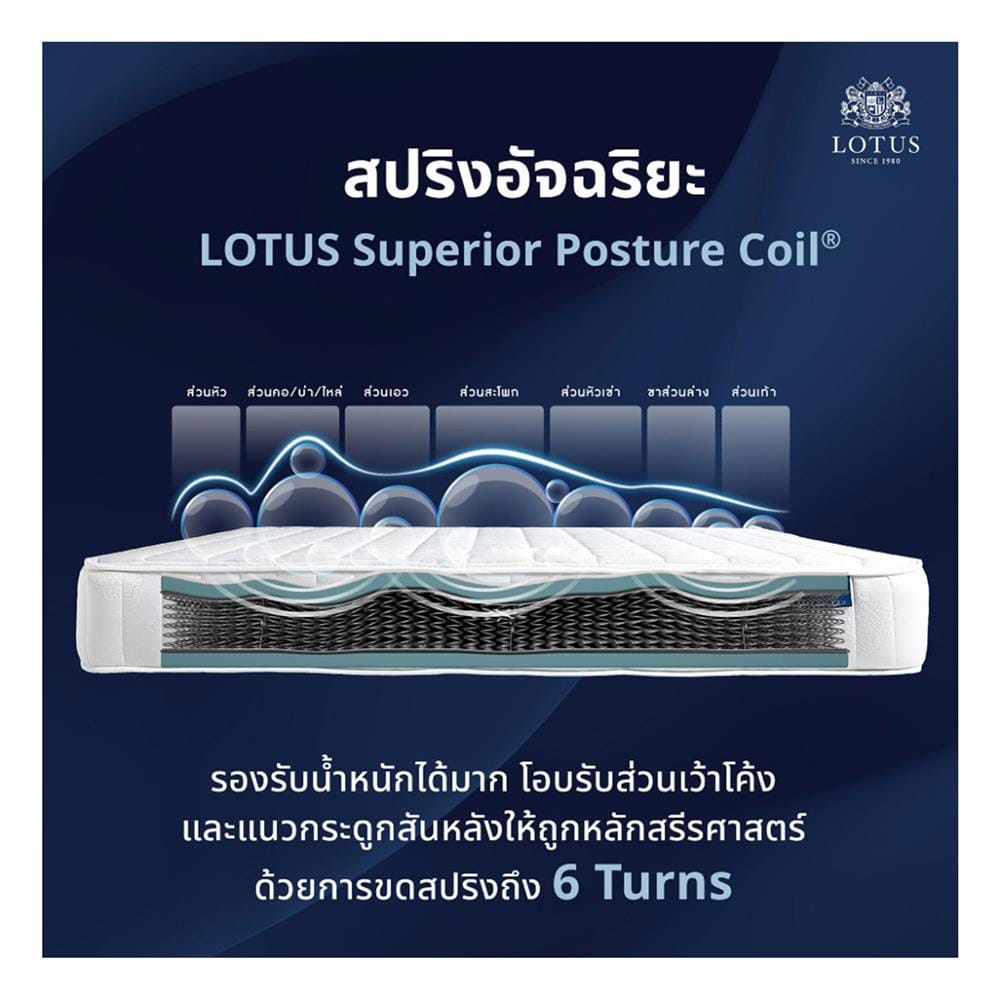 ที่นอนสปริง 5 ฟุต LOTUS รุ่น ANGELUS