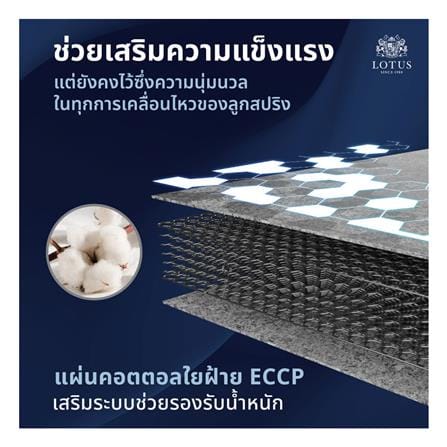 ที่นอนสปริง 5 ฟุต LOTUS รุ่น ANGELUS_7