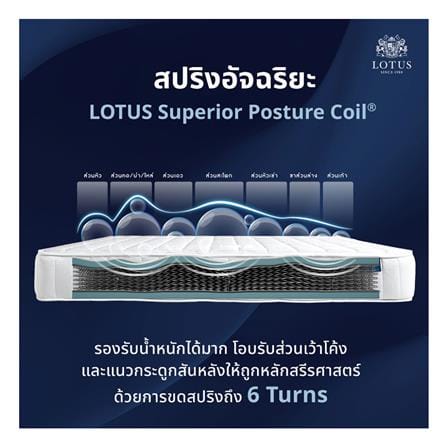 ที่นอนสปริง 6 ฟุต LOTUS รุ่น ANGELUS_6