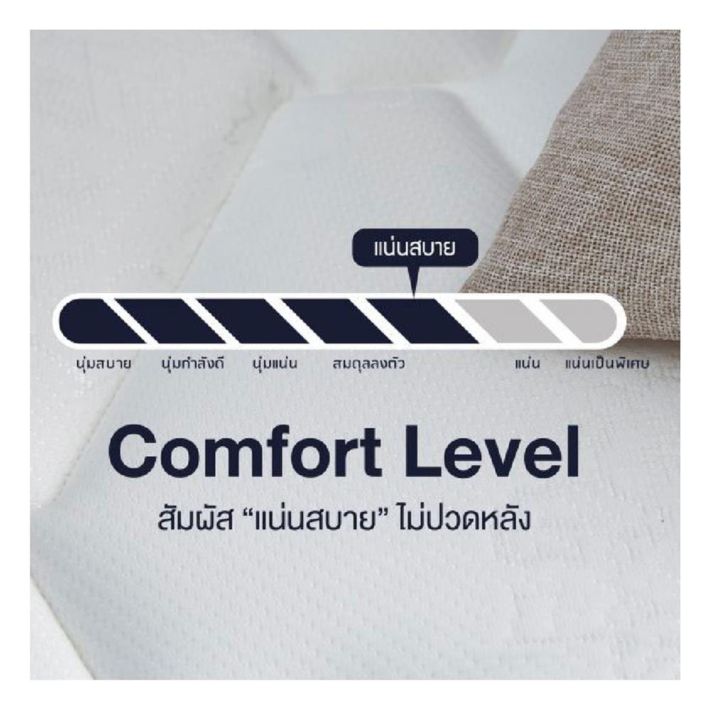 ที่นอนโฟม 6 ฟุต LOTUS รุ่น ELIPSE พร้อมหมอนหนุน 2 ชิ้น