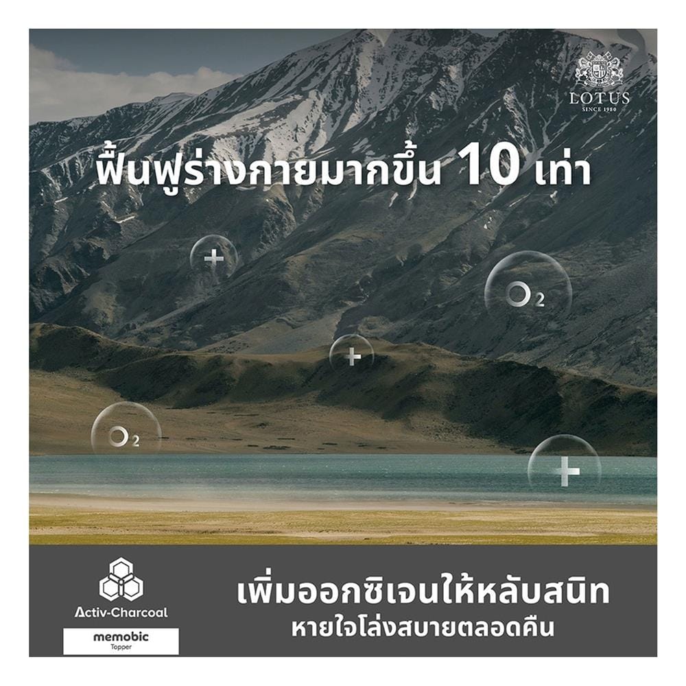 ที่นอนไฮบริด 6 ฟุต LOTUS รุ่น POLLUX I พร้อมหมอนหนุน 2 ชิ้น