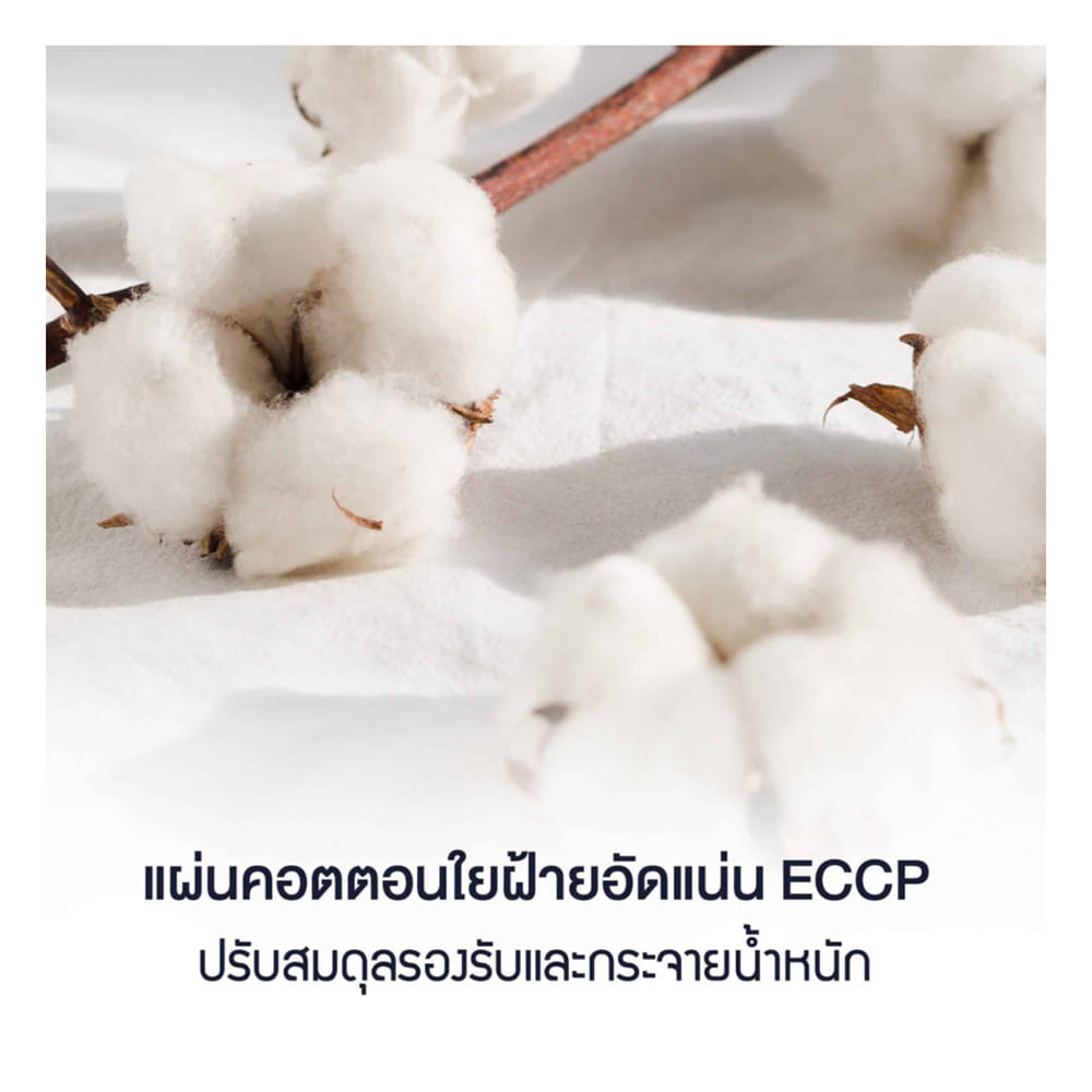 ที่นอนสปริง 6 ฟุต LOTUS รุ่น PREMIUM II พร้อมหมอนหนุน 2 ชิ้น