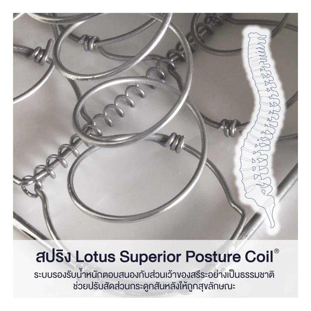 ที่นอนสปริง 6 ฟุต LOTUS รุ่น PREMIUM II พร้อมหมอนหนุน 2 ชิ้น