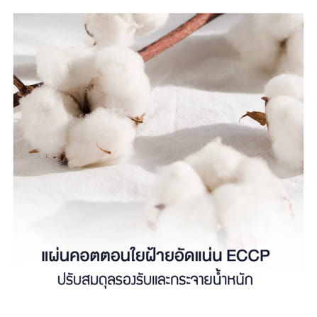 ที่นอนสปริง 6 ฟุต LOTUS รุ่น PREMIUM II พร้อมหมอนหนุน 2 ชิ้น_6