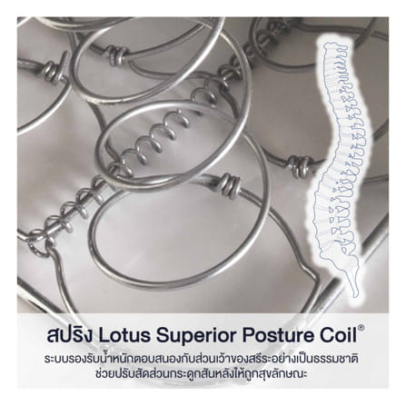 ที่นอนสปริง 6 ฟุต LOTUS รุ่น PREMIUM II พร้อมหมอนหนุน 2 ชิ้น_10