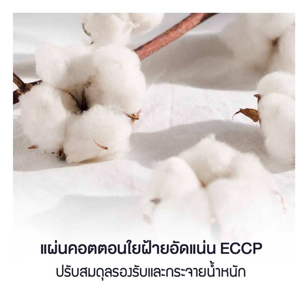ที่นอนสปริง 3.5 ฟุต LOTUS รุ่น PREMIUM II พร้อมหมอนหนุน 1 ชิ้น