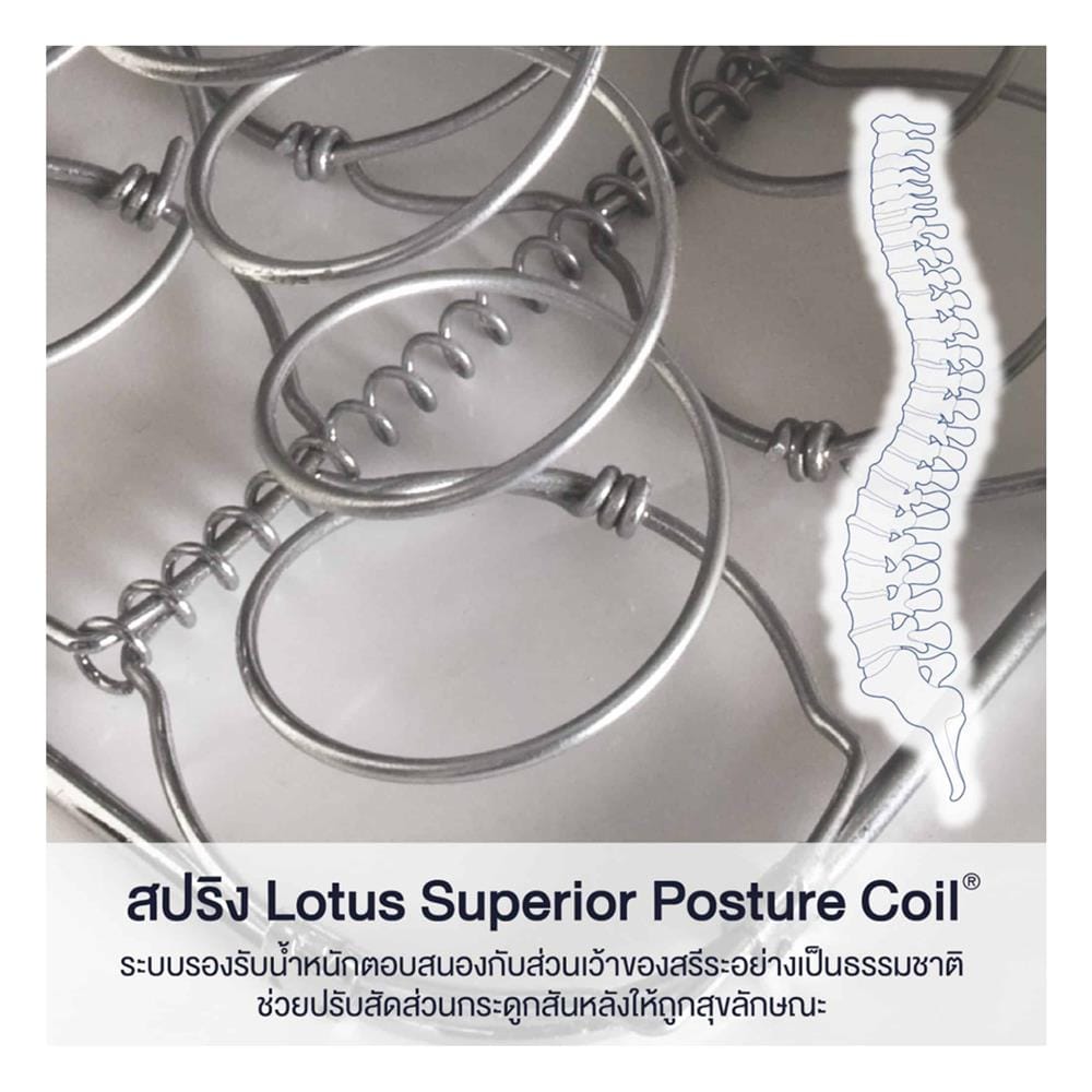 ที่นอนสปริง 3.5 ฟุต LOTUS รุ่น PREMIUM II พร้อมหมอนหนุน 1 ชิ้น