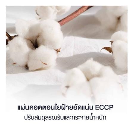 ที่นอนสปริง 3.5 ฟุต LOTUS รุ่น PREMIUM II พร้อมหมอนหนุน 1 ชิ้น_6