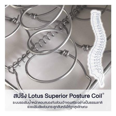ที่นอนสปริง 3.5 ฟุต LOTUS รุ่น PREMIUM II พร้อมหมอนหนุน 1 ชิ้น_10