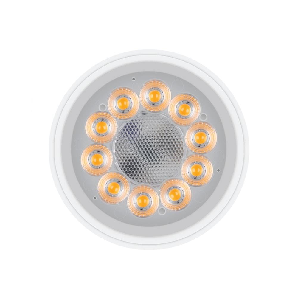 หลอด LED LAMPTAN MR16 GLAZE 7 วัตต์ COOL WHITE GU5.3