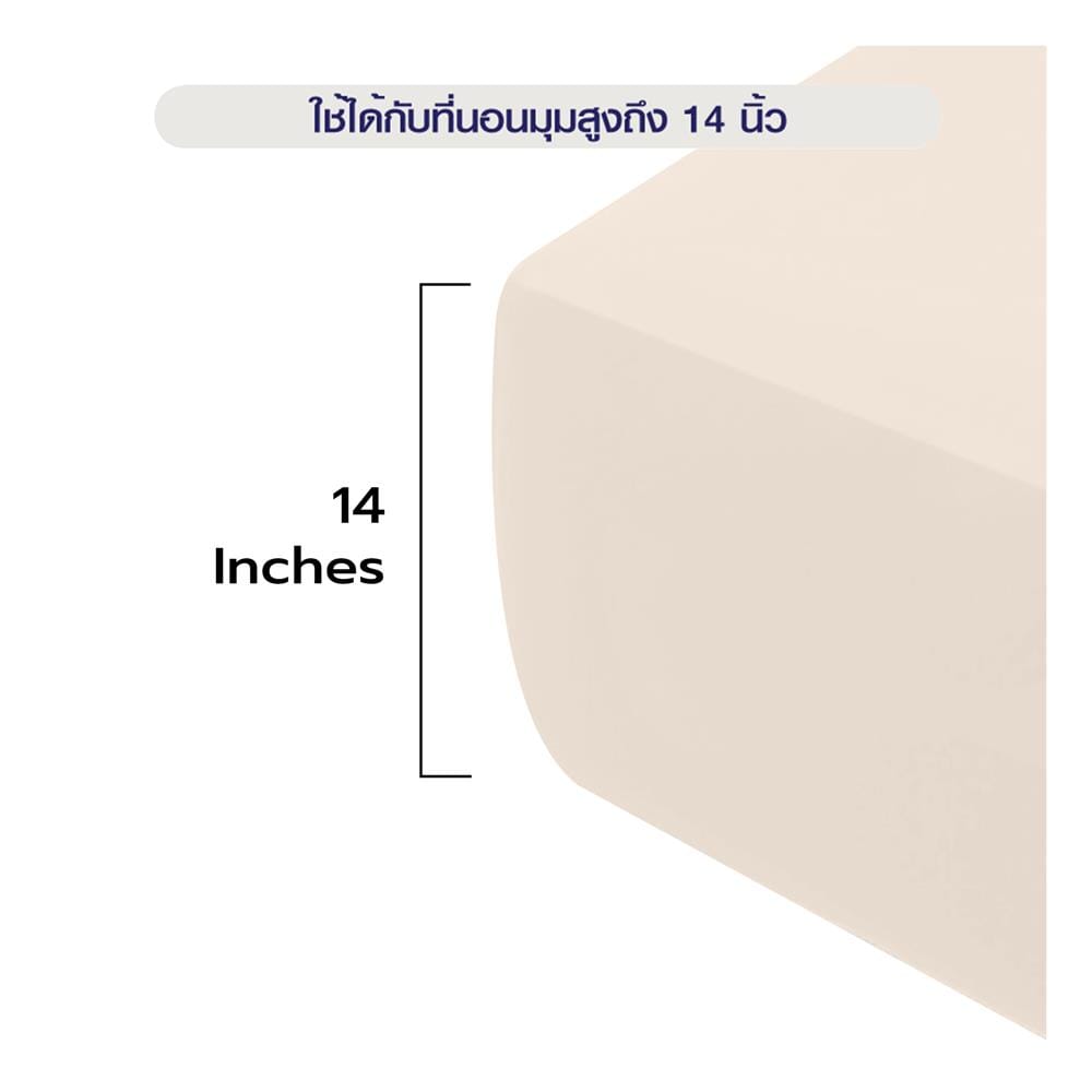 ผ้าปูที่นอน 5 ฟุต BENETTA MIST สี BEIGE