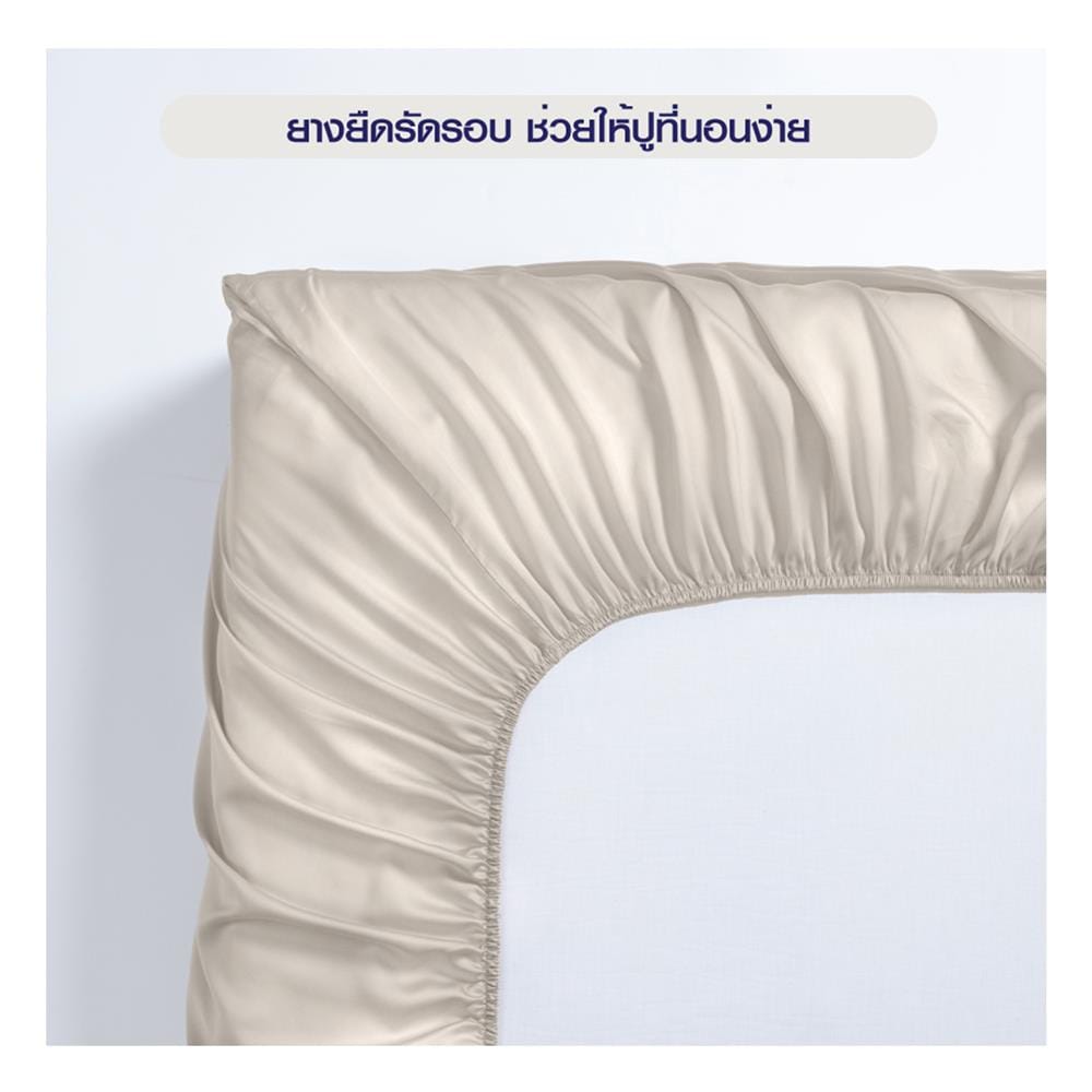 ผ้าปูที่นอน 5 ฟุต BENETTA MIST สี BEIGE