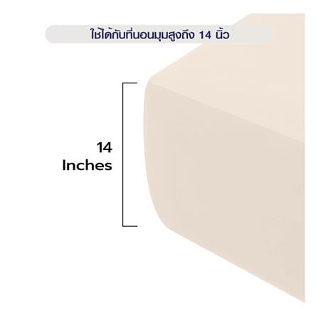 ผ้าปูที่นอน 5 ฟุต BENETTA MIST สี BEIGE_12