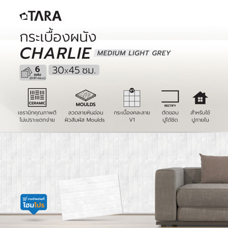กระเบื้องผนัง 30x45 ซม. TARA ซาริฟ กลาง เทาอ่อน 0.81 ตร.ม._7
