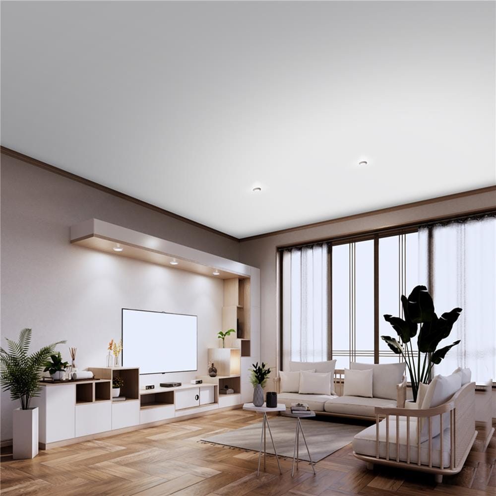 สีน้ำทาฝ้า ชนิดด้าน BEGER BEN-TONE PLUS BT-444 สี SMOKY CEILING 5 แกลลอน