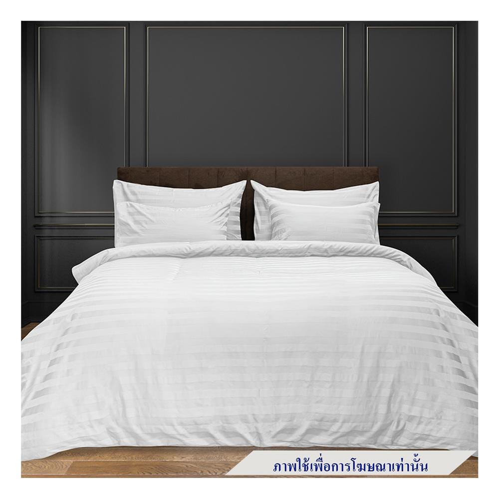 ผ้าปูที่นอน PICASSO CT STRIPE 110X115 นิ้ว สี WHITE