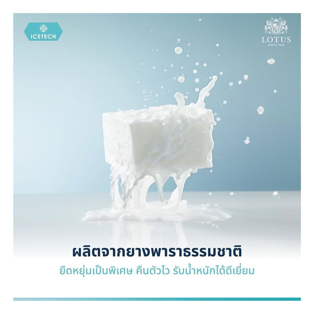หมอนสุขภาพ ยางพารา LOTUS ICETECH 13.5x22 นิ้ว สีขาว