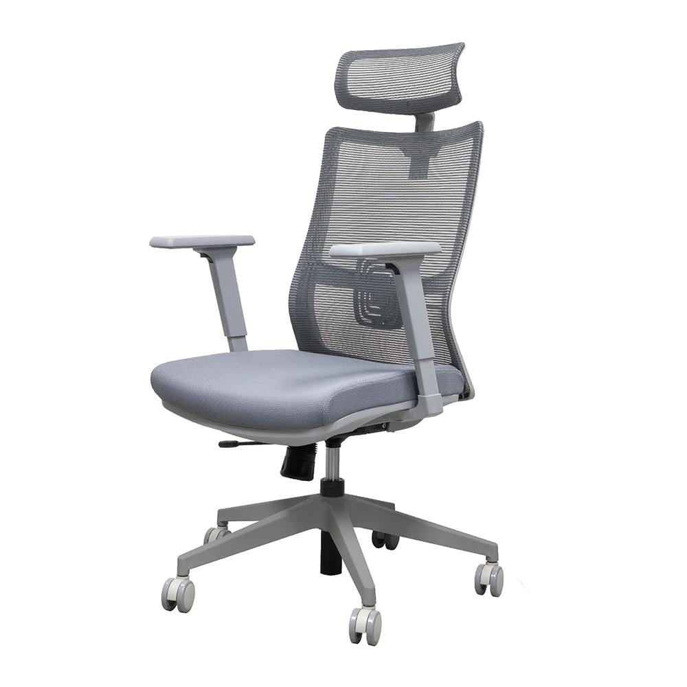 เก้าอี้สุขภาพ WORKSCAPE MALIN WCH-00061 สีเทา