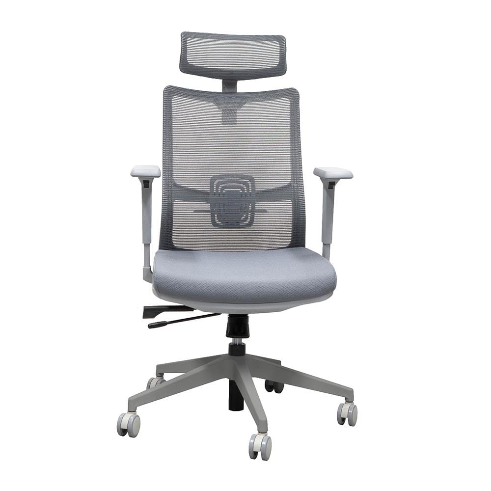 เก้าอี้สุขภาพ WORKSCAPE MALIN WCH-00061 สีเทา