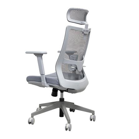 เก้าอี้สุขภาพ WORKSCAPE MALIN WCH-00061 สีเทา_3