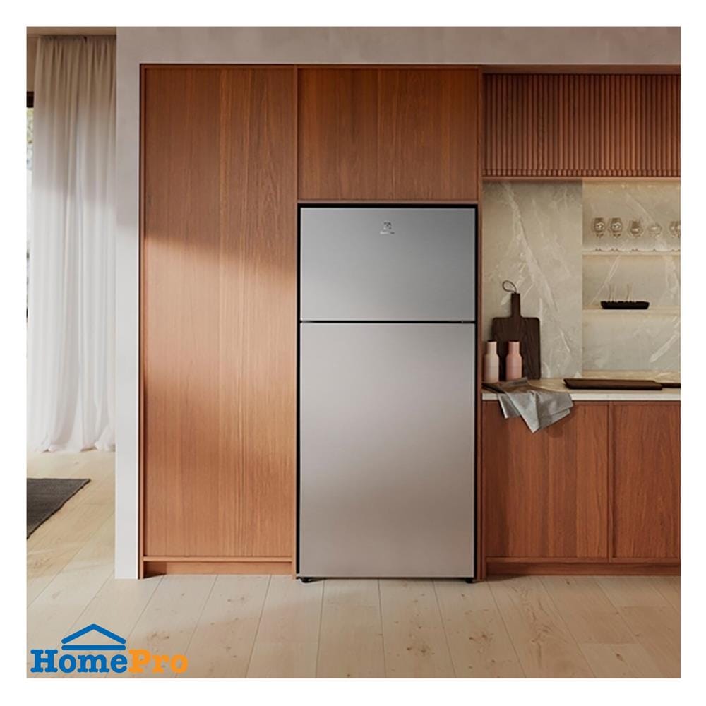 ตู้เย็น 2 ประตู ELECTROLUX ETM5002C-S 17.8คิว สีเงิน