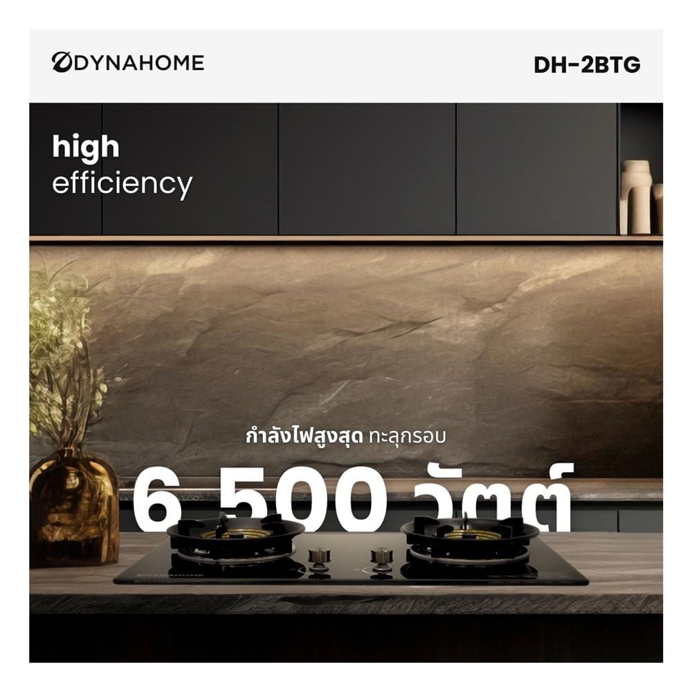 เตาฝังแก๊ส DYNA HOME DH-2BTG 74 ซม.
