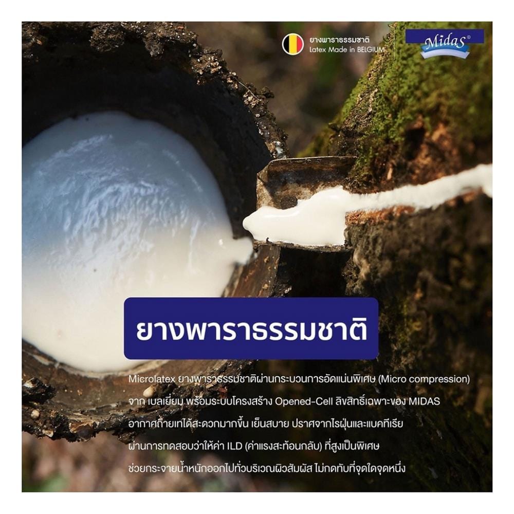 แผ่นรองนอน 3 ฟุต MIDAS REFRESH