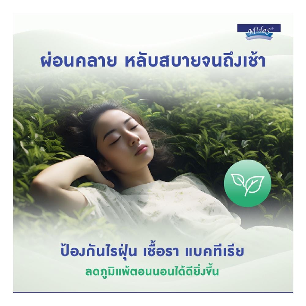 ที่นอนสปริง 6 ฟุต MIDAS รุ่น ZANE พร้อมหมอนหนุน 2 ชิ้น