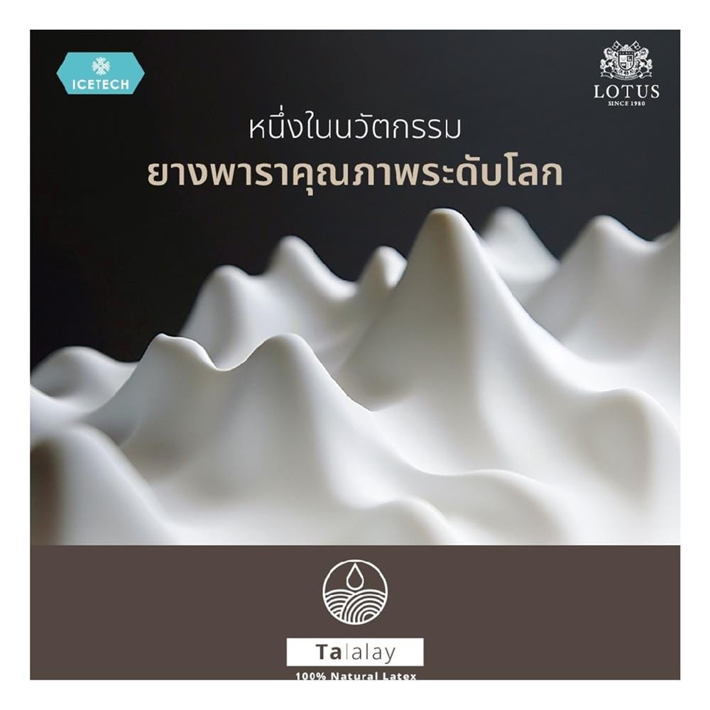 ที่นอนพ็อกเก็ตสปริง 6 ฟุต LOTUS รุ่น ARCTIC ZEN พร้อมเครื่องนอน 11 ชิ้น