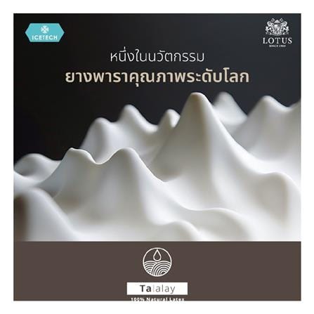 ที่นอนพ็อกเก็ตสปริง 6 ฟุต LOTUS รุ่น ARCTIC ZEN พร้อมเครื่องนอน 11 ชิ้น_5