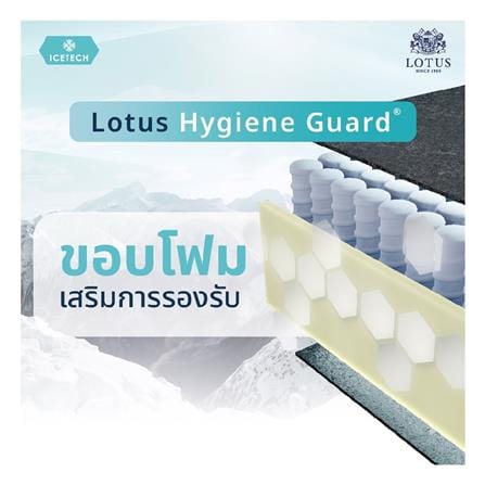 ที่นอนพ็อกเก็ตสปริง 6 ฟุต LOTUS รุ่น ARCTIC ZEN พร้อมเครื่องนอน 11 ชิ้น_8