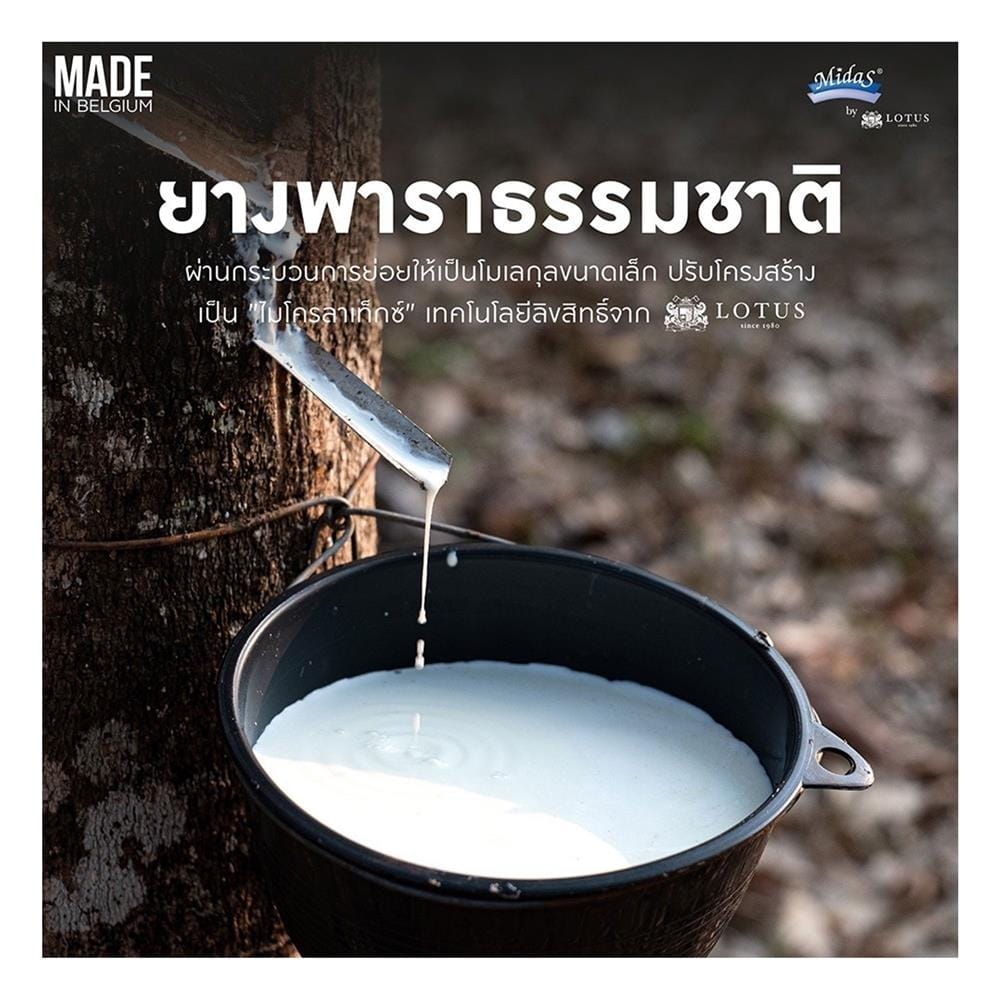 แผ่นรองนอน 3.5 ฟุต MIDAS NATURSOFT