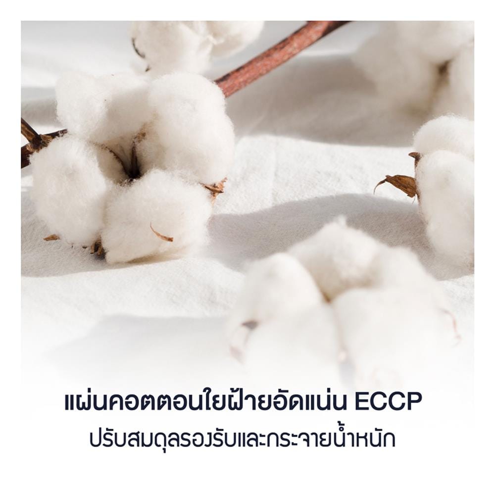 ที่นอนสปริง 3.5 ฟุต LOTUS รุ่น EVAN พร้อมหมอนหนุน 1 ชิ้น
