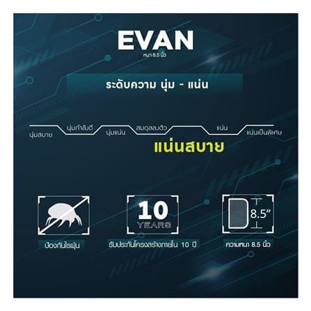 ที่นอนสปริง 3.5 ฟุต LOTUS รุ่น EVAN พร้อมหมอนหนุน 1 ชิ้น_14